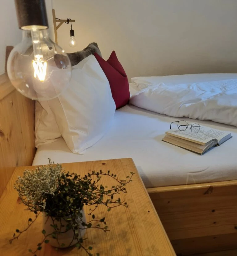 🌄 Hinterrohrgut - idyllische Appartements in Flachau 🏞️